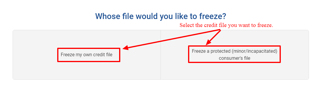 Security Freeze Center at Experian - Select the credit file you want to freeze.
