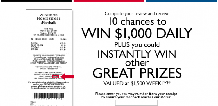 TJX-Survey-To-Win-Great-Prize