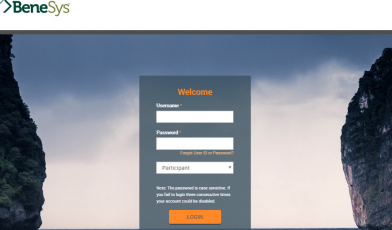 Login to BeneSys Your Plan Access