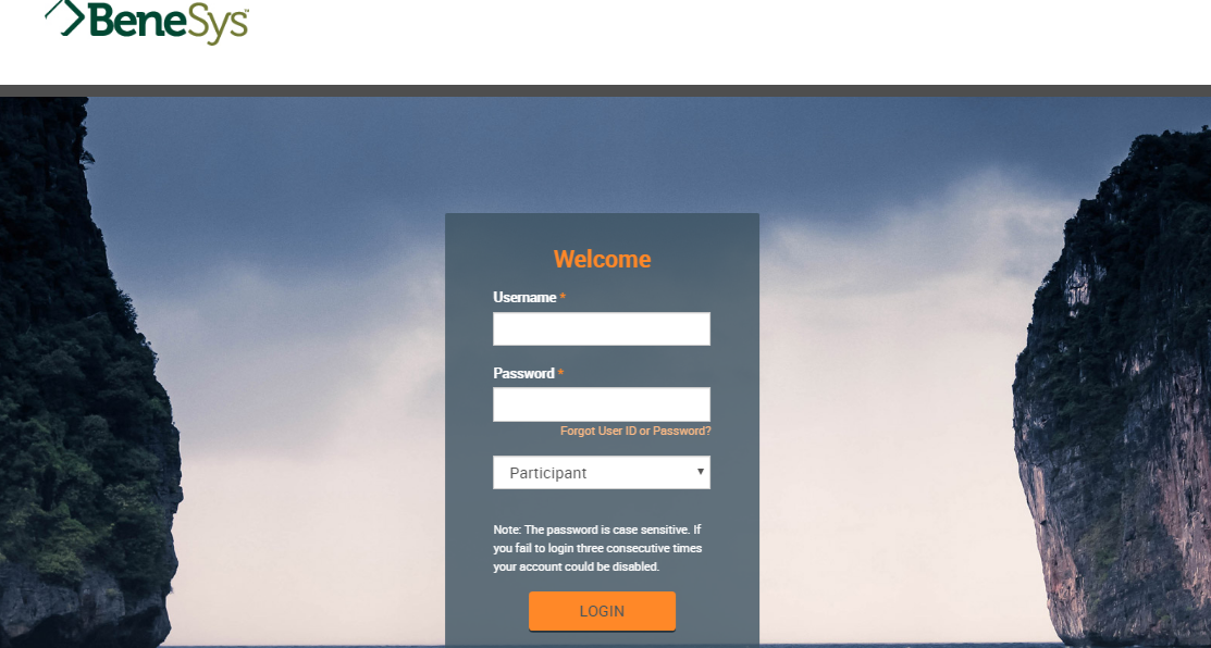 Login to BeneSys Your Plan Access
