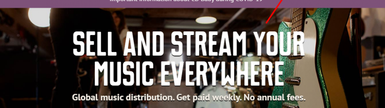 CD Baby Artist Login