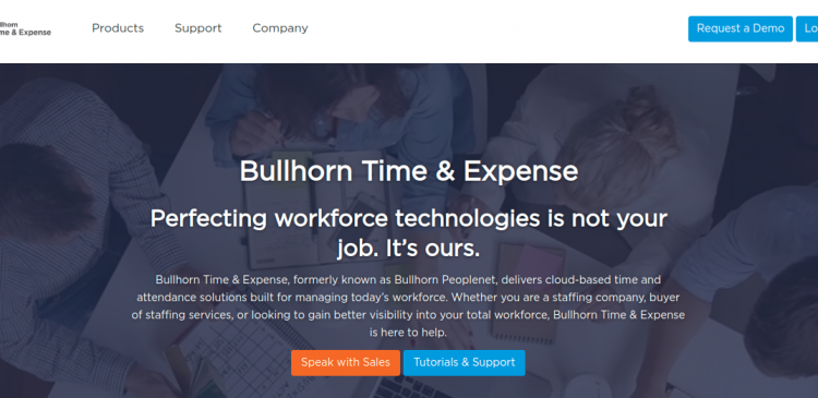 Bullhorn Logo