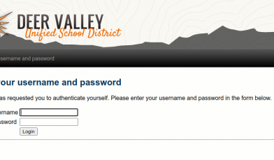 dvusd Logo