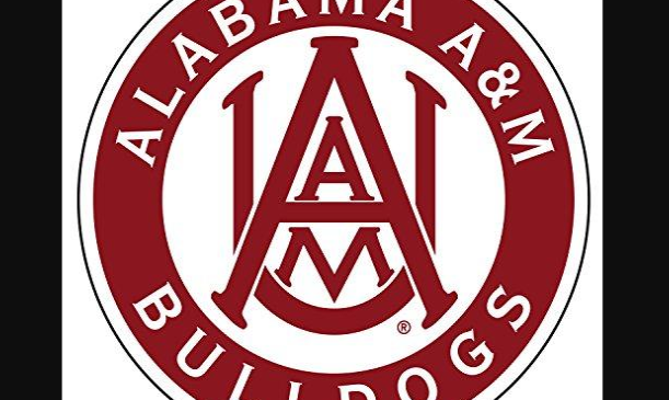 aamu blackboard llogin tips