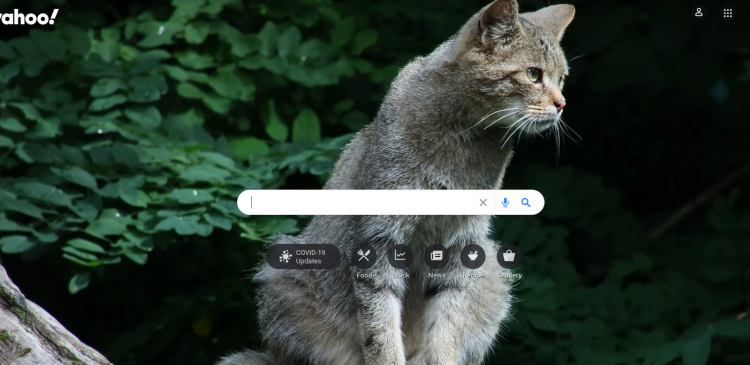 Yahoo Search