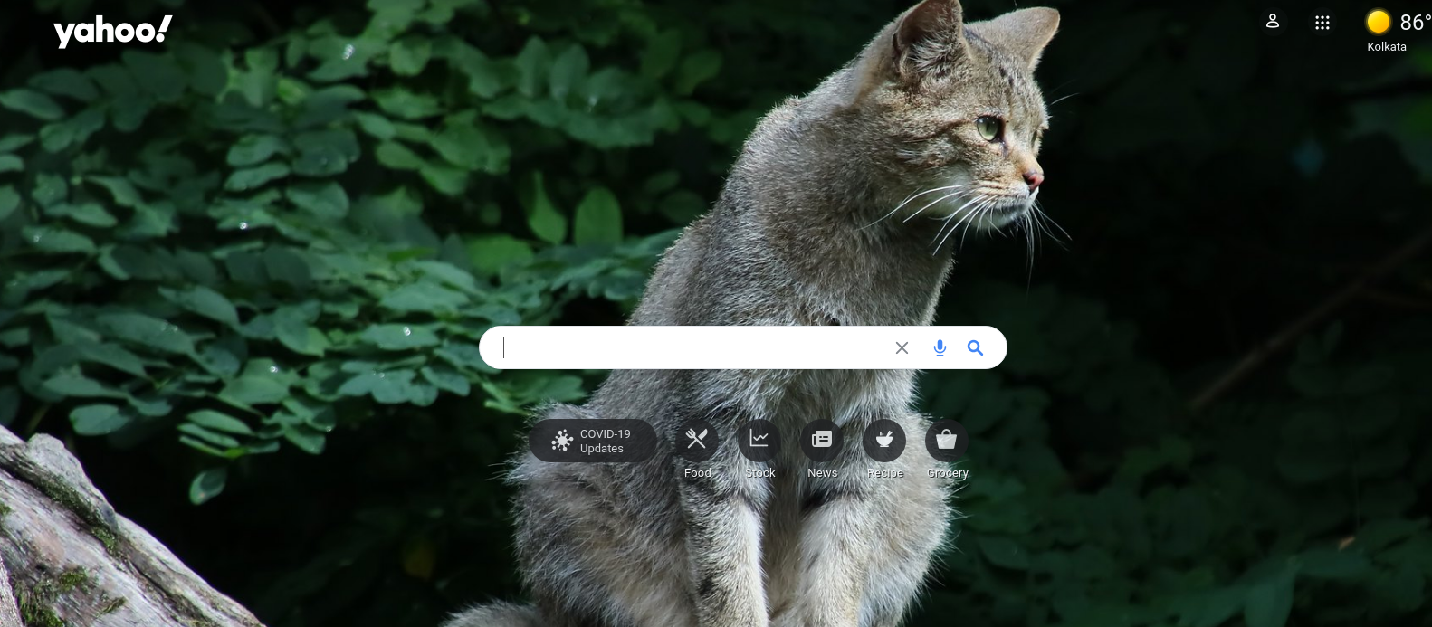 Yahoo Search