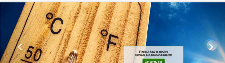 publix employee login tips